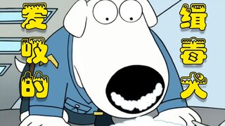 [呆] The first drug-sniffing dog was so hypocritical