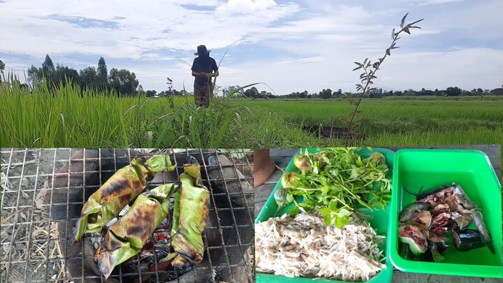 วิถีพื้นบ้านหากินยุนำไฮ่นำนา บรรยากาศตอนเช้า ครัวง่ายๆเมนูบ้านๆ พออยู่พอกิน อีสานบ้านเฮา