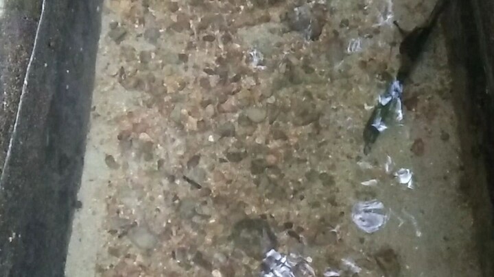 river of town