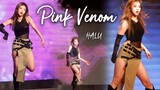 关于我在学校迎新晚会带病打歌 Pink Venom 这件事