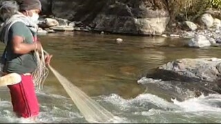 Cast Net Fishing in Nepal | HImalayan Trout Fishing in Nepal | Asala Fishing |