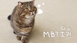 🍞ครีมฮีโร่ ทำความเข้าใจบุคลิกภาพของแมว~ (Cat MBTI)