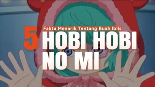 5 Fakta Menarik Tentang Buah Iblis HOBI HOBI NO MI 🔥