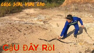 Truy Đuổi Tìm Rắn Hổ Trâu Cùng Team Săn Bắt Ẩm Thực Vùng Cao | Cuộc Sống Vùng Cao