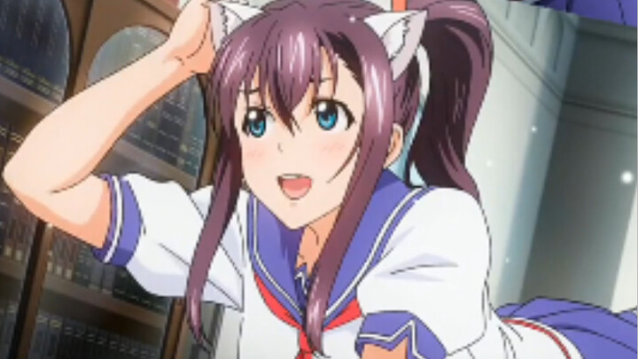 【Magic Tool Girl】Have you ever seen a cat girl like this?