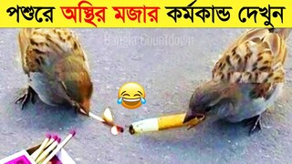 পশুদের মজার কর্মকান্ড ক্যামেরায় ধরা পড়া | Funny Animals Video 2022 (Part-10) | mayajaal