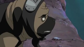 Naruto shippuden ep 012 sub indo