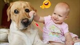 Adorable Babies Playing With Dogs Together - Funny Pets Videos