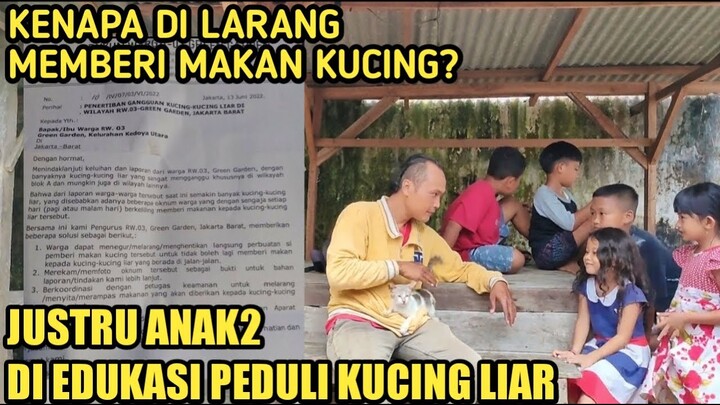 LARANGAN CAT LOVERS MEMBERI MAKAN KUCING? JUSTRU ANAK2 HARUS DI EDUKASI PEDULI KUCING LIAR
