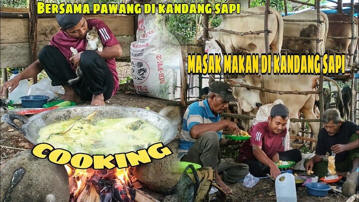 Masak Makan Di Kandang Sapi