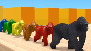 [MMD]Learn to Say These Animals in English