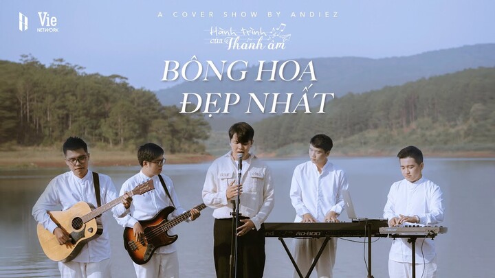 HÀNH TRÌNH CỦA THANH ÂM | BÔNG HOA ĐẸP NHẤT - QUÂN AP | ANDIEZ COVER