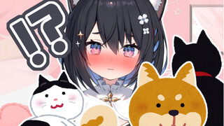 [Sena Suzu] Jika kamu memberi tahu gadis kucing Jepang bahwa kamu ingin memiliki dua anak kucing ber
