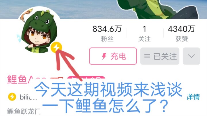 浅谈一下鲤鱼怎么了，为什么很久没更视频