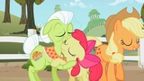 My Little Pony: Friendship Is Magic | S02E11 - Family Appreciation Day (Filipino)