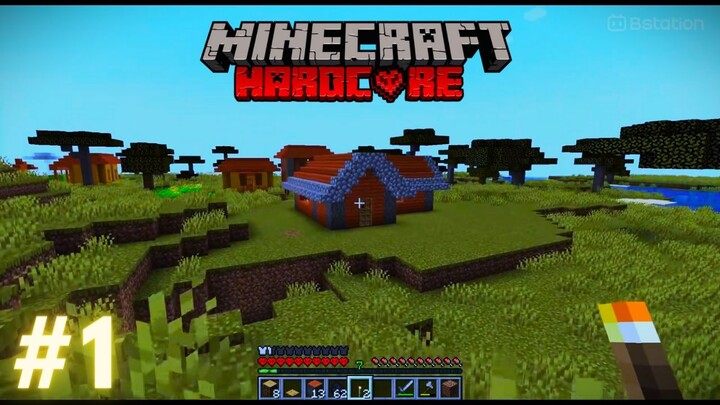 Minecraft hardcore #1 farming & building