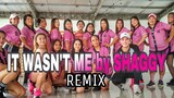 IT WASN'T ME by shaggy | Remix | Dance Workout| Fitness | J-Force & Zin janeth | mhon