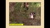 Mulawin-Full Episode 51