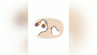 Làn quen nha~ mèo cute foryou