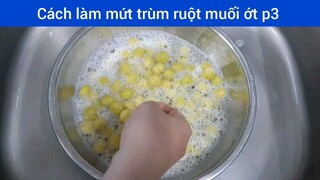 Làm mứt trùm ruột muối ớt p3