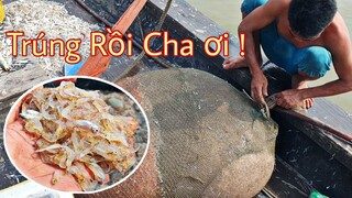 Một cẩu bắt ''HƠN 1 TẠ'' Ruốc Bông Lao trúng rồi cả nhà ơi | Ngư Dân Miền Tây