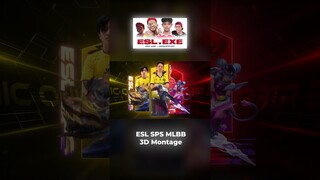 MOMEN EPIC 3D MONTAGE DI ESL SPS MLBB