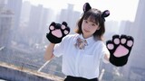 [Xiaoqi] Stray cats on Sunday