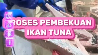 proses pengolahan tangkapan ikan tuna