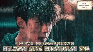 Kisah Pertarungan Melawan Geng Berandalan SMA - Alur Cerita Film Terbaik