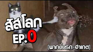 สัตว์โลก โคตรป่วน ep 0 พากย์นรก ฮาเกต Pet Talk อัพให้ใหม่