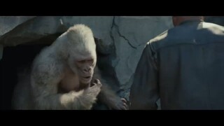 Watch Full RAMPAGE  Movies For Free: Link In Description