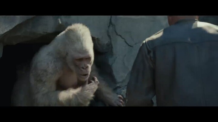 Watch Full RAMPAGE  Movies For Free: Link In Description
