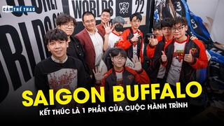 SAIGON BUFFALO | TẠM BIỆT REN & BẦY TRÂU TRẺ