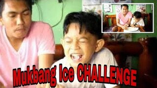 Mukbang Ice Challenge|Wondermom27