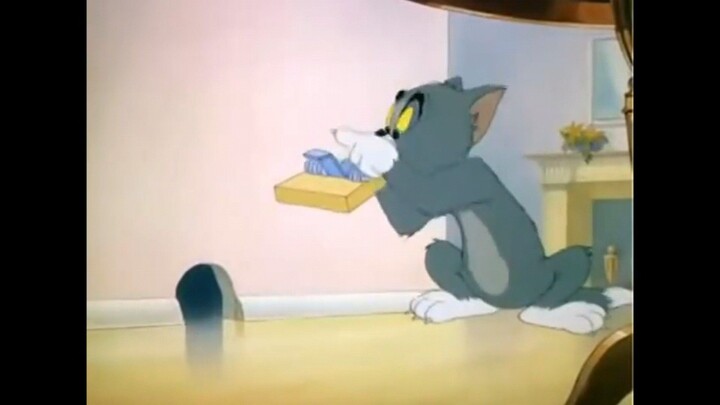 Tom and Jerry -   Mouse Trouble