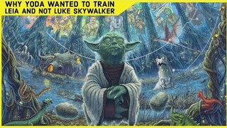 Why Yoda Didn't Want To Train Luke Skywalker And Preferred Leia