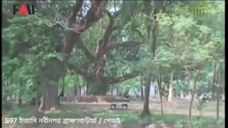 রমনা আর বটমূলের ইতিহাস