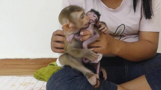 So Sweet Kissing Of Brother Maku To Baby Sister Jessie | Baby Jessie So Cute