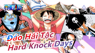 [Đảo Hải Tặc/Kinh điển] Ca khúc 'Hard Knock Days' - Xem chỉ có phê thôi~