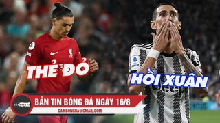 Bản tin Bóng Đá ngày 16/8 | Liverpool bị cầm hòa vì Nunez thẻ đỏ; Di Maria chào sân Serie A ấn tượng