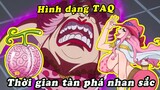 Hé lộ hình dạng thật sự của trái ác quỷ - Độ hot của anime One Piece chỉ xếp thứ 5 ?