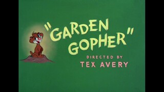 Tikus tanah itu sangat menganggu || Garden Gopher