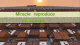 "Miracle Reappearance" - Minecraft