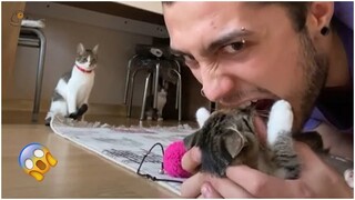 AWW SO FUNNY😂😂 Super Dogs And Cats Reaction Videos #26