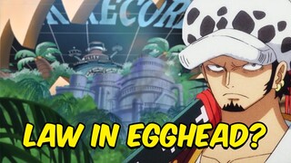 It wasn't Blackbeard, but Trafalgar Law who came to Egghead Island