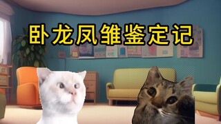 【猫meme】跟momo去办案：卧龙凤雏鉴定记