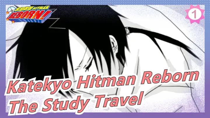 [Katekyo Hitman Reborn Hand Drawn MAD] The Study Travel of Protectors 10 Years Later_1