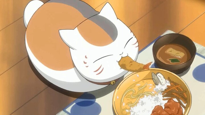 [Natsume Yuujinchou Roku] Ganfanmeow! Ganfanhun! Guru kucing memanggilmu untuk bercinta dengan nasi!
