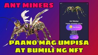 Ant Miners Overview How to Start and Earn (Tagalog)