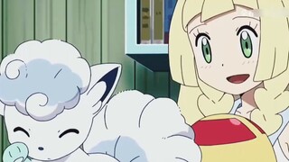 Uncover the secrets of Alola's partners!